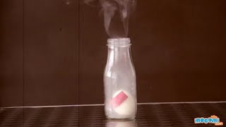 Egg in a Bottle Experiment  Science Projects for Kids  Educational Videos by Mocomi [upl. by Anitnatsnok]