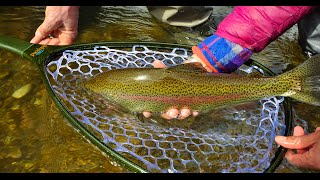 Early Spring on the Yakima River with Reds Fly Shop [upl. by Nylednarb274]