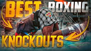 BEST BOXING KNOCKOUTS OF 2024  PART 7  BOXING FIGHT HIGHLIGHTS KO HD [upl. by Ylatfen814]