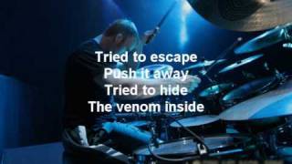 Chimaira  The Venom Inside HQ FULL  Lyrics [upl. by Derdlim]