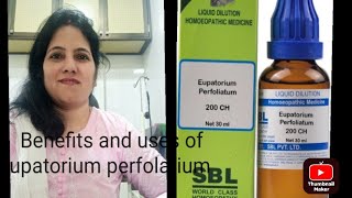 part1 Benefits and uses of Eupatorium perfolatium 20030 [upl. by Aimak668]