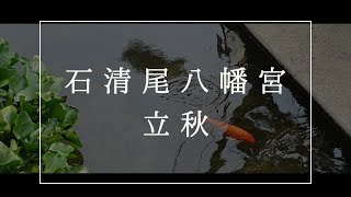 石清尾八幡宮 立秋 [upl. by Tteltrab]