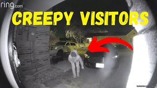 Unexpected Visitors And Petty Porch Pirates Caught on Ring Doorbell [upl. by Asilat756]