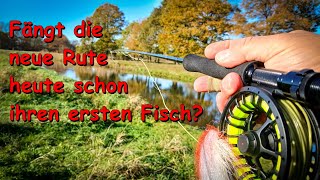 Fliegenfischen in MV  Fängt die neue Rute heute schon ihren ersten Fisch [upl. by Anomer]