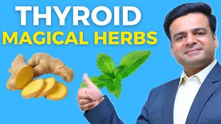 Top 5 Thyroid Boosting Herbs  Magical Herbs For Thyroid Health [upl. by Swamy]