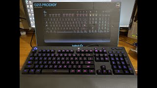 Logitech G213 Prodigy Gaming Keyboard Unboxing amp Review   Best Budget Gaming Keyboard [upl. by Eicnahc338]