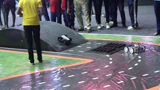 Rise of the Robots Roborace Challenge 2024 [upl. by Flosi]