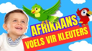 Voëls kleuters lami afrikaans [upl. by Leckie95]