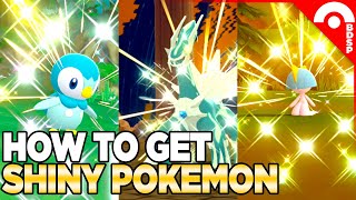 How to Get Shiny Pokemon amp PokeRadar Guide in Pokemon Brilliant Diamond amp Shining Pearl [upl. by Daub]