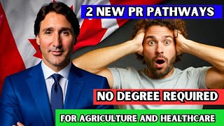 😳 Wow NEW Canada PR Options  Saskatchewan Launches 2 New Pathways In Agriculture amp Healthcare [upl. by Seidler36]