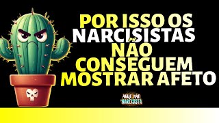 POR QUE OS NARCISISTAS NÃO SE IMPORTAM COM AS PESSOAS [upl. by Leia]