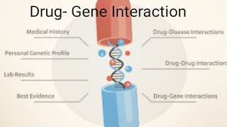 Drug gene Interaction Examples of drug gene interaction [upl. by Ragg]