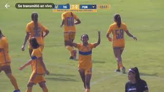 Tigres  Tigres Femenil Sub 19 21 Pumas avanzan a semifinales [upl. by Rabassa]