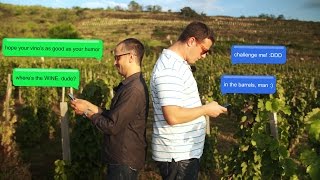 Furmint Adventures  Episode 11 Gizella Cellar [upl. by Martijn]