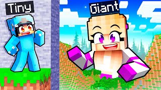 TINY vs GIANT Hide and Seek in Minecraft [upl. by Rochus849]