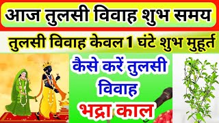 Tulsi Vivah Shubh Muhurt Ekadashi Puja 2023 Tulsi Vivah Ka Samay Tulsi Vivah Kaise Kare [upl. by Nesnah]