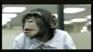 Career Builder Monkeys Super Bowl XL Commercial [upl. by Clara141]