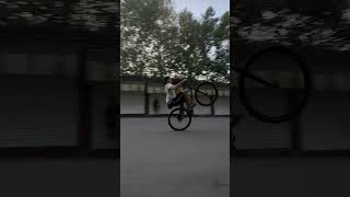 Bmx cruiser mafia booma 29 [upl. by Rovert637]