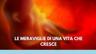 La Meraviglia Di Una Vita Che Cresce [upl. by Alo]