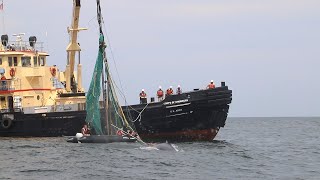 Saving a Humpback Whale A Disentanglement Tale [upl. by Trow]