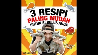 3 Resepi MAKANAN KUCING buat di rumah [upl. by Wollis]