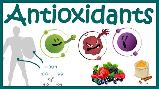 Antioxidants  What Are Antioxidants   Antioxidants Benefits  Free Radicals and ROS scavenging [upl. by Macy753]