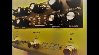 Strymon Volante  Part 2 [upl. by Gnoy]