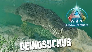 Taming A Deinosuchus  Ark Survival Ascended  The Center [upl. by Eleirbag]