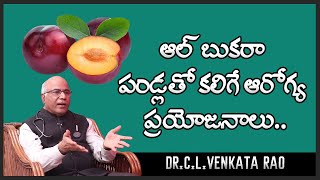 Albakara Fruit Benefits  Dr CL Venkata Rao  Shri Tv Doctor [upl. by Toscano]