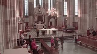 Eredienst Domkerk 12 november 2023 [upl. by Yraek]