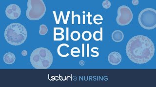 White Blood Cells The 5 WBC Types Reference Ranges amp Functions  Pathophysiology  NCLEX Prep [upl. by Atniuqal]