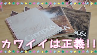 【手帳時間】可愛すぎる！キャンパスノート購入しちゃいました 開封 試し書き [upl. by Yadroc]