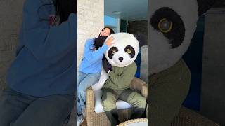 PANDA SE VERIA BIEN EN MI COLECCION DE PELUCHES 🧸 PANDACANAL YOLOAVENTURAS cainguzman [upl. by Skeie]