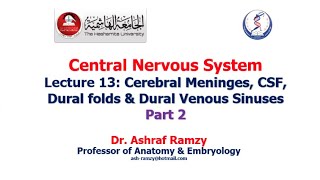 Lecture 13  Cerebral Meninges CSF Dural folds amp Dural Venous Sinuses Part 2  CNS [upl. by Alcine]