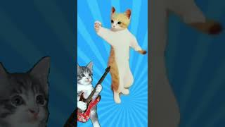 funny dog dancing youtubeshorts dog shorts [upl. by Aigneis780]