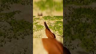 Horses Fs 20 fs20 fs23 farmingsimulator19 farmingsimulator22 farmingsimulator25 [upl. by Nezam]