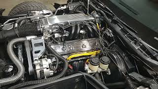 how to set timing on a 89 Corvette l98 350 tune port injection motor [upl. by Kaule]