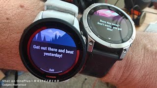 AMOLED or MIP Garmin Forerunner vs EPIX [upl. by Monson]