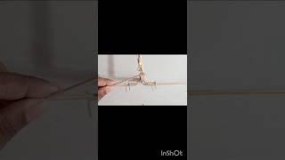 Diy rubber band powered bird ornithopter [upl. by Arihaj]