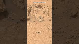 Perseverance Rover Sol 1325  Mars New 4k Video  Mars 4k Video  Mars In 4k  Mars shorts [upl. by Roda767]