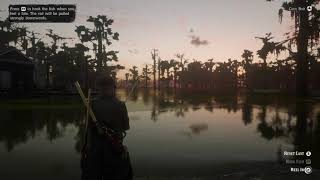 Red Dead Redemption 2  Bullhead Catfish Location [upl. by Libbey874]