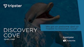 Josie’s Unforgettable Day at Discovery Cove  Thanks Tripster 🐬🏝️✨ [upl. by Palocz]