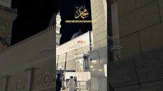 Hum Ne Ankhon Se Dekha Nahi Hai Magar🤩  Beautiful Naat Status shorts short madina foryou [upl. by Ameehsat]