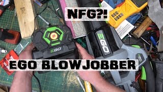 BOLTR GARBAGE EGO Blower  13 Month Review [upl. by Elbon]