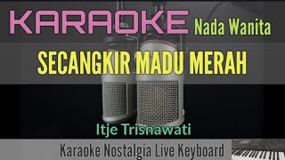 KARAOKE DANGDUT  SECANGKIR MADU MERAH  ITJE TRISNAWATI [upl. by Tterag]