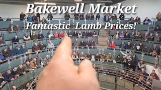 Bakewell market day Fantastic lamb prices [upl. by Lashonda]