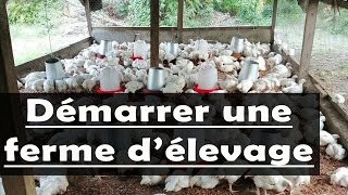 Voici 8 Etapes pour commencer une entreprise d’élevage de poulet à succès en Afrique [upl. by Bridie719]