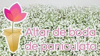 Cómo hacer un altar de boda de paniculata [upl. by Anait]