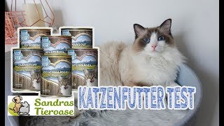 Katzenfutter SANDRAS SCHMANKERL im Test  Nassfutter für Katzen  JulisTierfuttertest 15 [upl. by Tiersten]