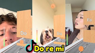 Do Re Mi Challenge Viral TikTok Filter Challenge I DO RE MI FA SO LA TI DO TikTok Compilation [upl. by Fredenburg]